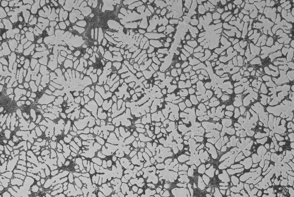 Dendrites and phases, original image