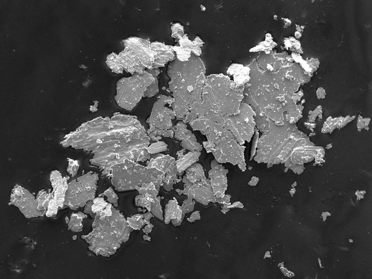 SEM image of an irregular powder