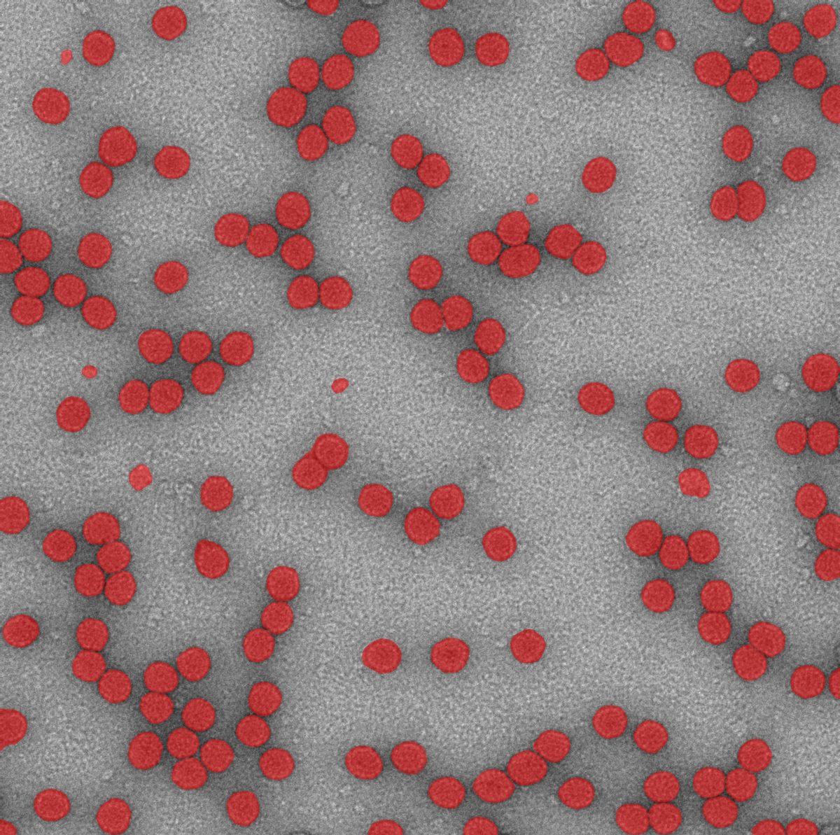 Particles selected by Spotlight in red