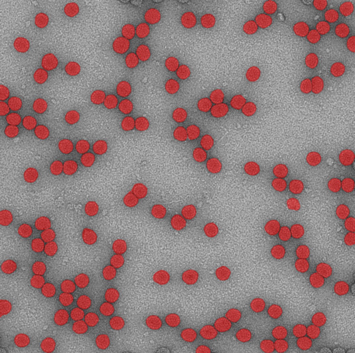 Selection after clean-up, false positives removed