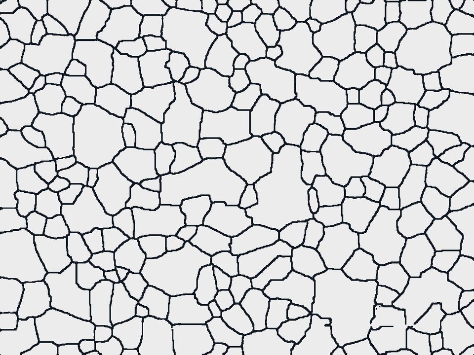 Detected grain boundaries